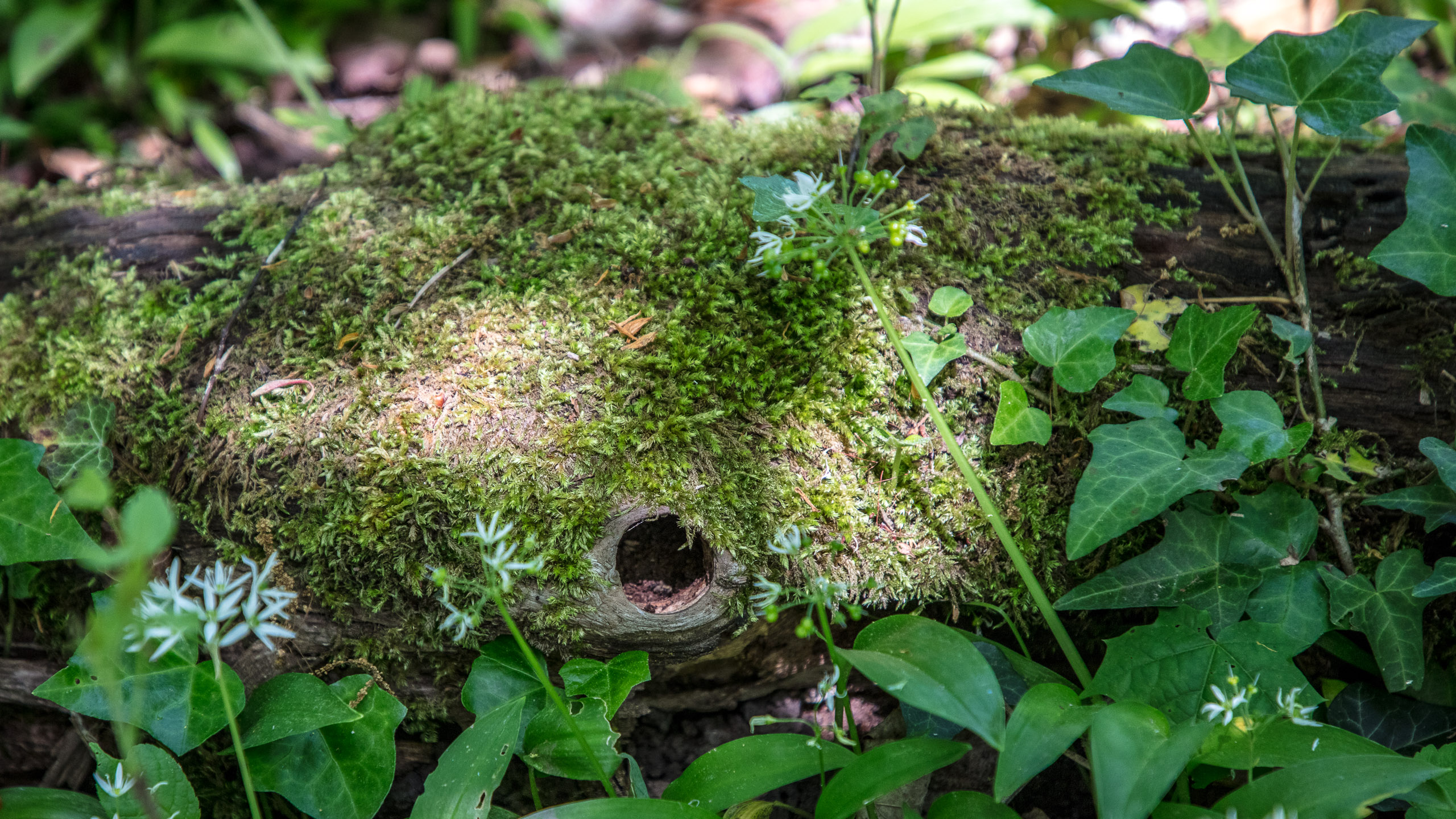 20220508124840 DP017543